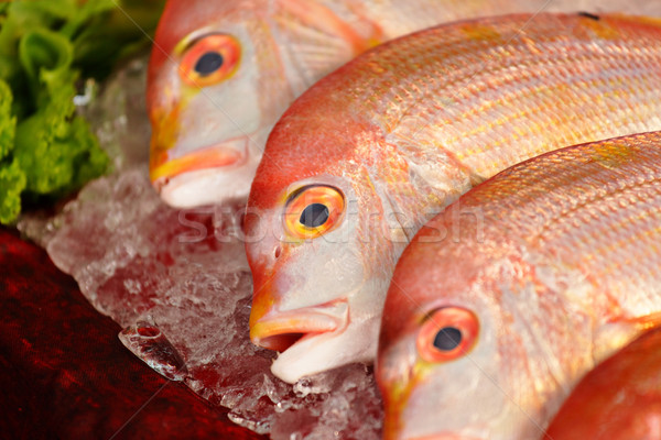 fish for sale Stock photo © leungchopan