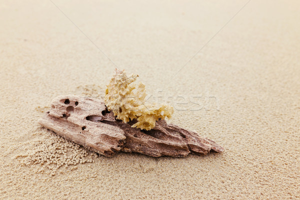 流木 サンゴ ビーチ 夏 砂 リラックス ストックフォト © leungchopan
