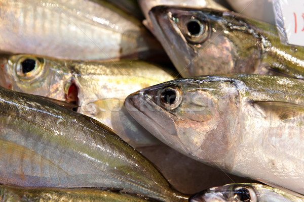 fish for sell in market Stock photo © leungchopan