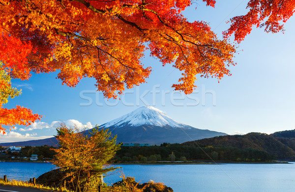 Mt. Fuji in autumn Stock photo © leungchopan