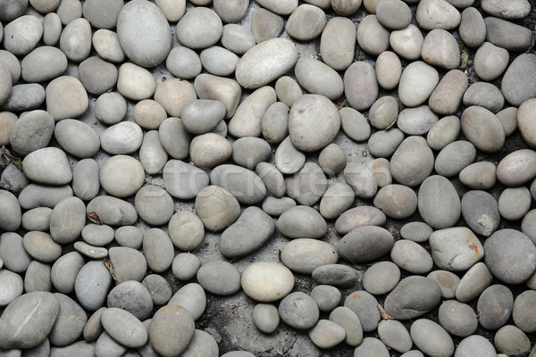 abstract background with round peeble stones Stock photo © leungchopan