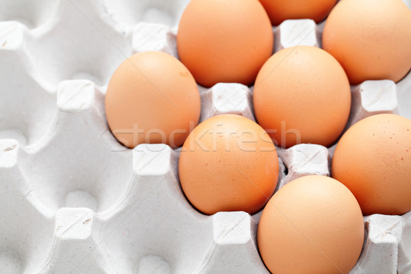 Ei Feld Eier weiß Boxen Zelle Stock foto © leungchopan