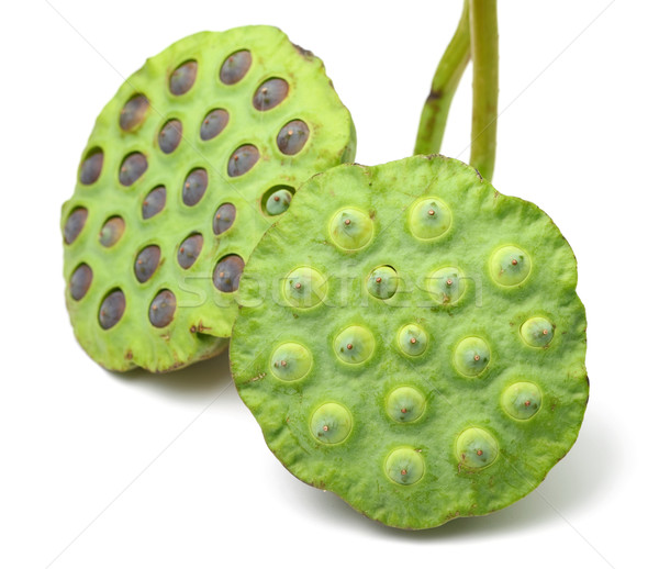 Ramo loto semillas vaina textura alimentos Foto stock © leungchopan