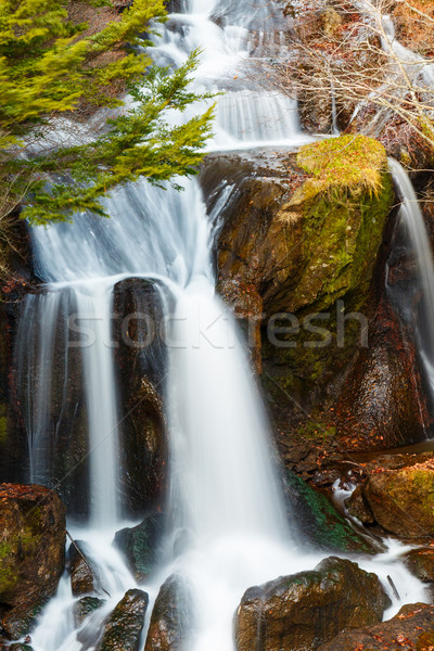 Wodospad wody wiosną krajobraz rock jezioro Zdjęcia stock © leungchopan