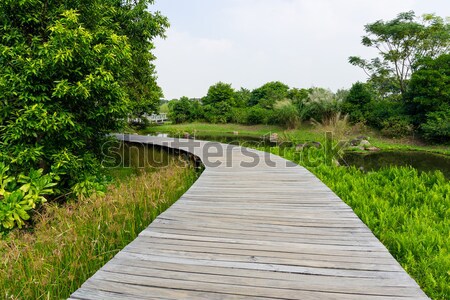 path in country side Stock photo © leungchopan