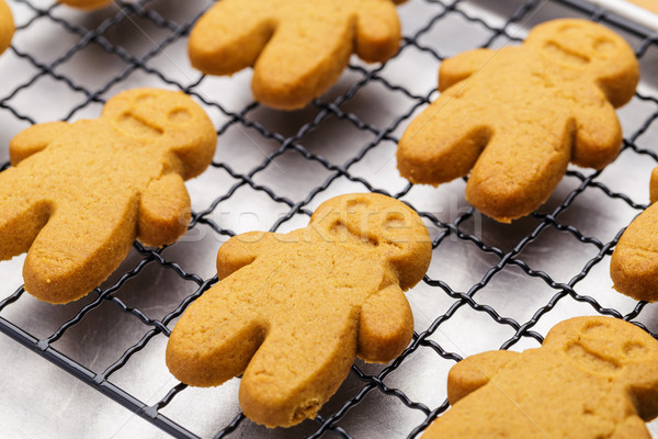 Homemade gingerbread cookies Stock photo © leungchopan