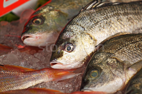 fish for sale Stock photo © leungchopan