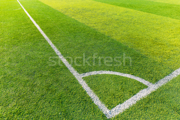 Corner of a synthetic football field  Stock photo © leungchopan