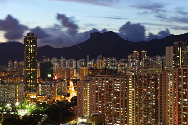 Aglomerat constructii noapte Hong Kong cer copac Imagine de stoc © leungchopan