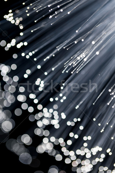 Stock fotó: Rost · optika · terv · üveg · kábel · kommunikáció