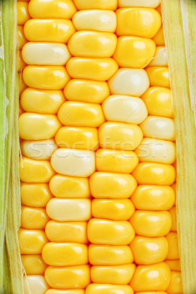 Stock photo: corn close up