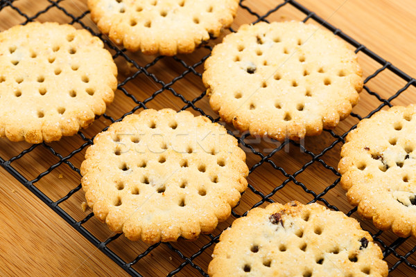 Rosine Cookies Zeit Kochen Dessert Snack Stock foto © leungchopan