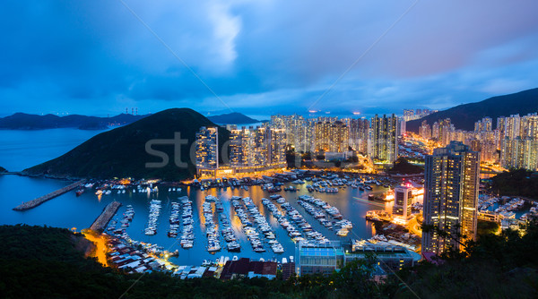 Abrigo noite árvore cidade luz casa Foto stock © leungchopan