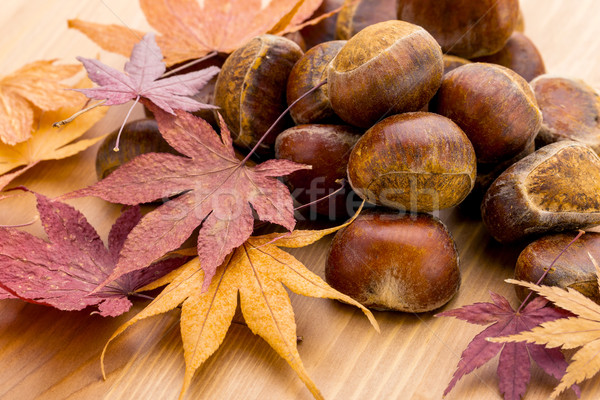 Chestnut and dry maple leave Stock photo © leungchopan