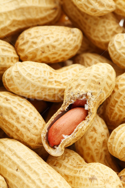 peanut Stock photo © leungchopan
