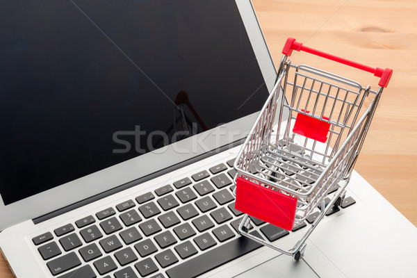 Online shopping concept Stock photo © leungchopan