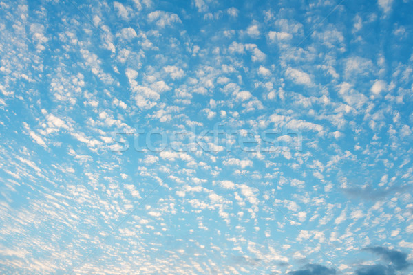 Sunny day cloudscape Stock photo © leungchopan