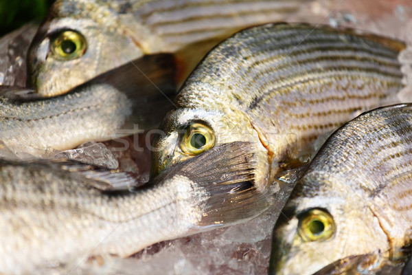 fish for sale Stock photo © leungchopan