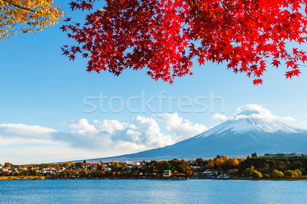 Mt. Fuji in autumn Stock photo © leungchopan
