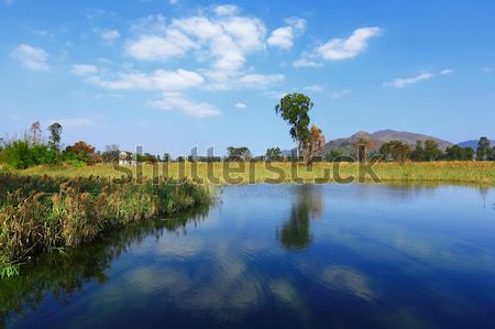 Beautiful lake view Stock photo © leungchopan