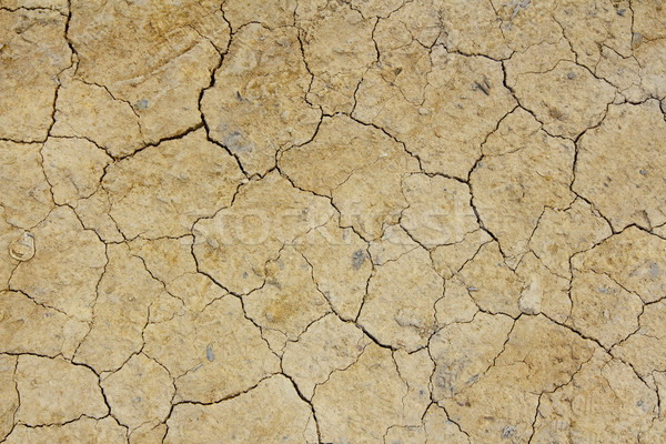 Essiccati crack terra deserto terra sabbia Foto d'archivio © leungchopan