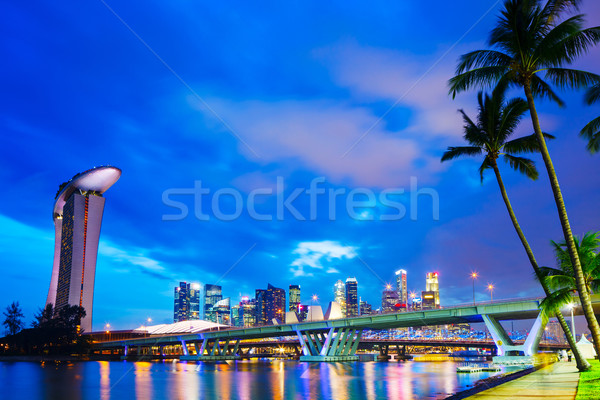 Singapur horizonte noche cielo árbol edificio Foto stock © leungchopan