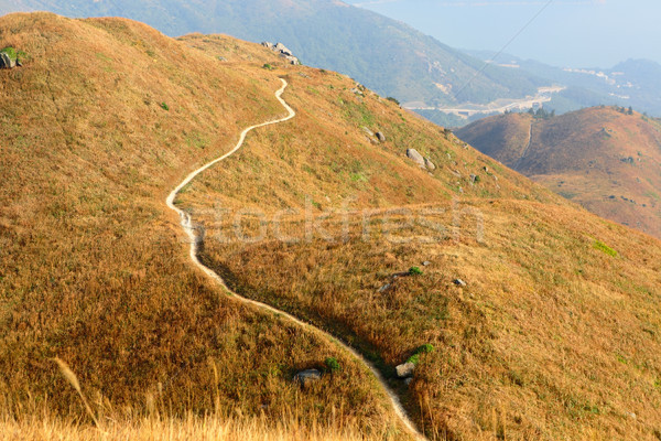 [[stock_photo]]: Randonnée · chemin · herbe · paysage · montagne · domaine