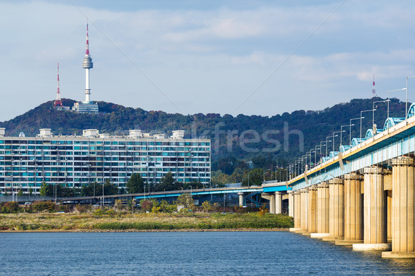 Seoul città Corea del Sud panorama montagna viaggio Foto d'archivio © leungchopan