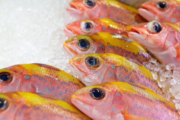 fish for sale in market Stock photo © leungchopan