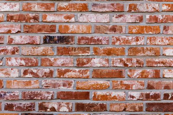 Red brick wall Stock photo © leungchopan