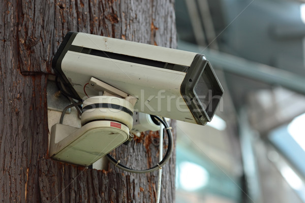 Inwigilacja kamery ściany technologii bezpieczeństwa zielone Zdjęcia stock © leungchopan