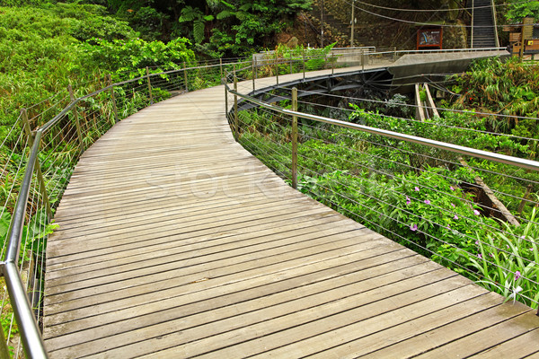 path in country side Stock photo © leungchopan