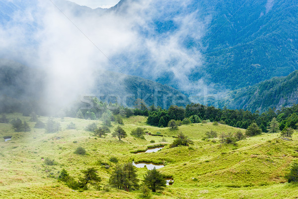 Montana Taiwán hierba fondo verde amanecer Foto stock © leungchopan