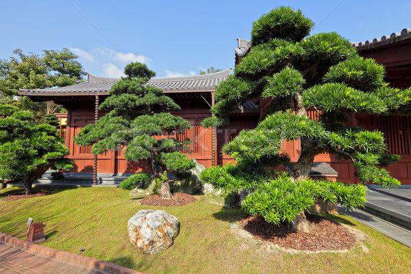 chinese garden Stock photo © leungchopan