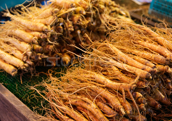 Ginseng root stick Stock photo © leungchopan