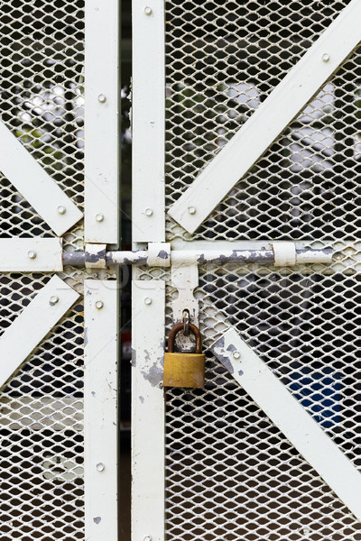 Metal door with lock Stock photo © leungchopan