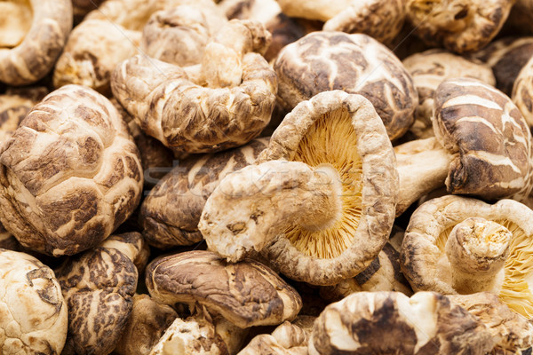 Stockfoto: Gedroogd · textuur · geneeskunde · chinese · champignon · bruin