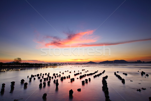 Naplemente tenger napfelkelte kő hajnal Stock fotó © leungchopan