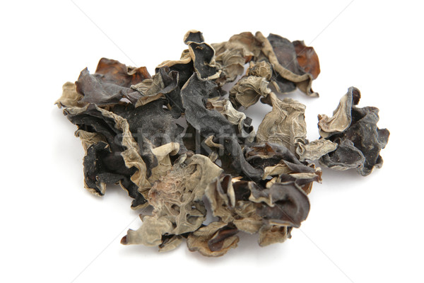 black fungus Stock photo © leungchopan