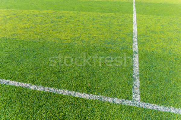 Football court Stock photo © leungchopan