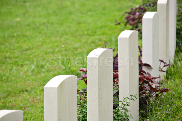 Rows of headstone at atmilitary memorial Stock photo © leungchopan