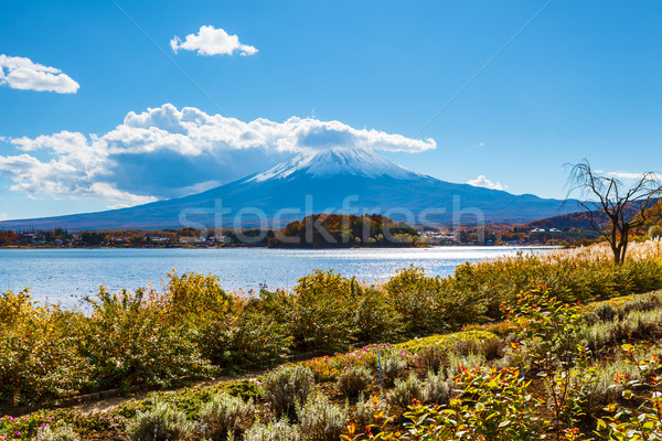 Stockfoto: Mount · Fuji · meer · zon · sneeuw · schoonheid · winter