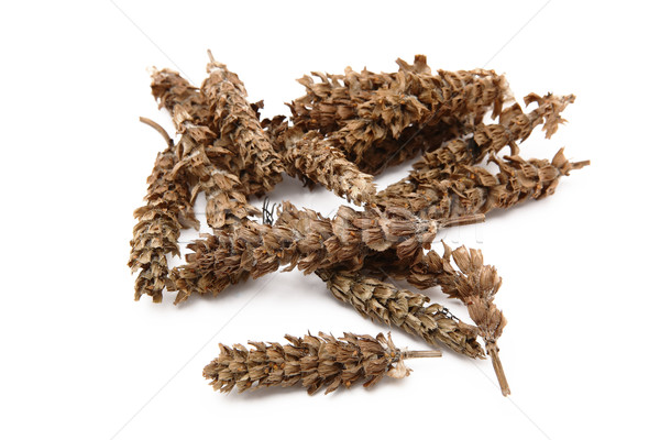 chinese herb, prunella vulgaris Stock photo © leungchopan