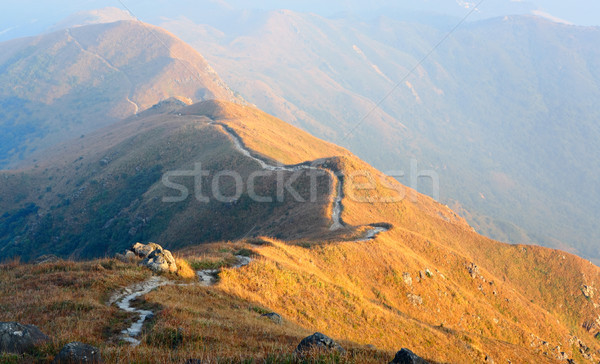 Hegy út fű tájkép mező zöld Stock fotó © leungchopan
