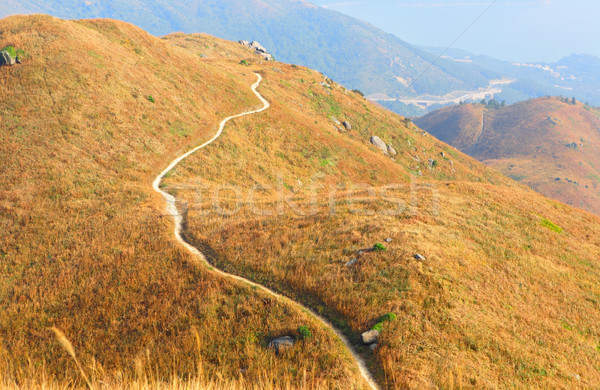 Stock foto: Berg · Weg · Gras · Landschaft · Bereich · grünen