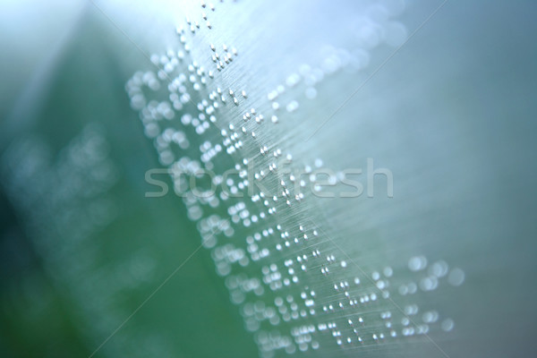 Stock photo: plain braille page abstract