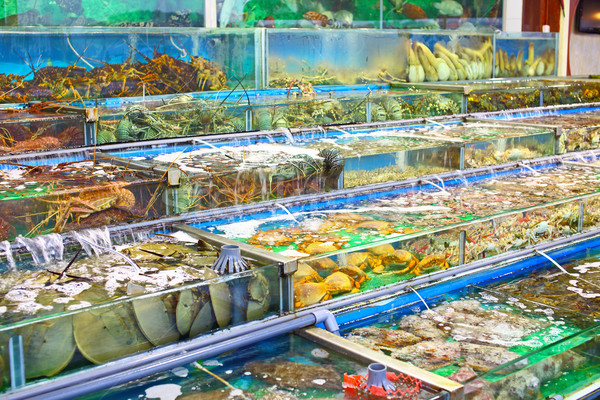 Owoce morza rynku ryb zbiornika Hongkong wody Zdjęcia stock © leungchopan