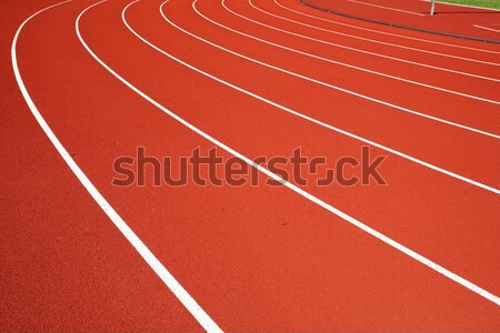 sport field lines Stock photo © leungchopan