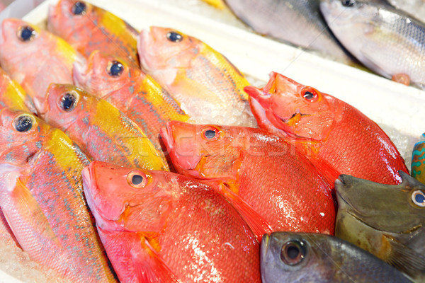 fish for sale Stock photo © leungchopan