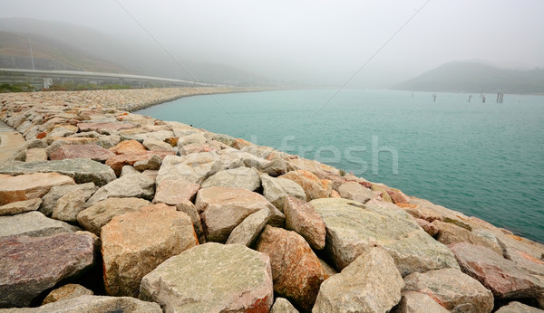 rock jetty Stock photo © leungchopan